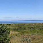 Mirando Al Mar La Arena